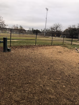 Dog Park at TC Jester Park